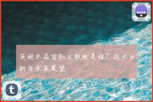 英超水晶宫队主教练是谁?战术分析与未来展望