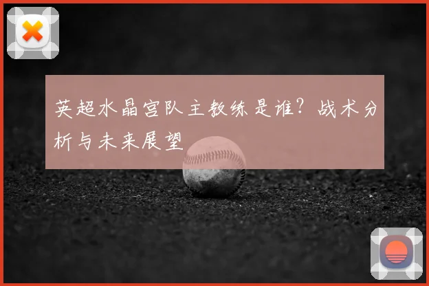 英超水晶宫队主教练是谁？战术分析与未来展望