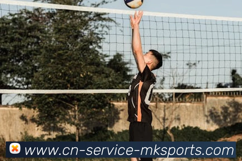 MK体育发展历程